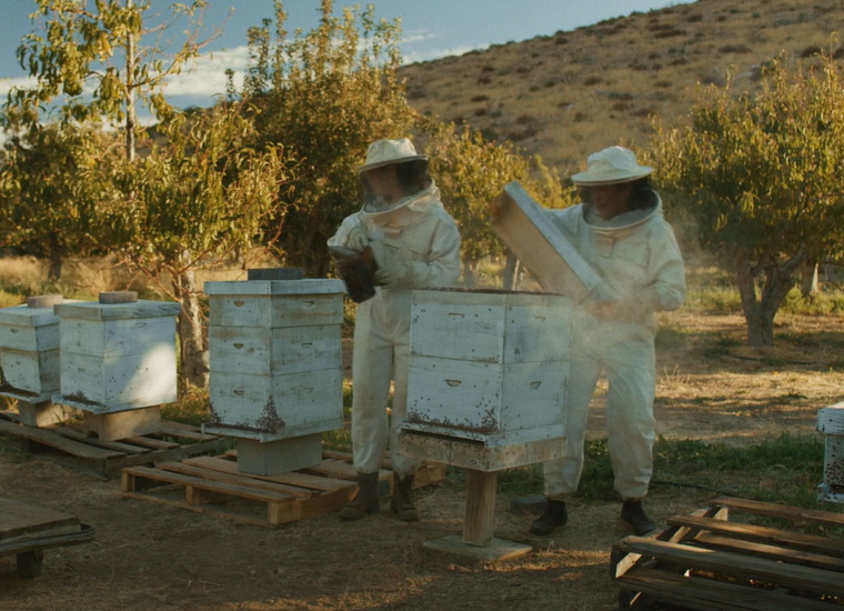 beekeepers :: The Book of PDR